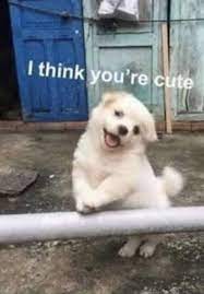 Just So You Know R Wholesomememes Wholesome Memes Know Your Meme