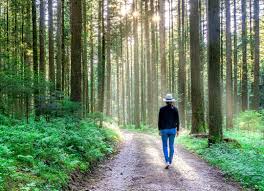 The best free images of nature landscapes, people at the beach, starry night skies, hiking in the forest, and other outdoor scenes. The Best Natural Medicine Nature Itself Brain World