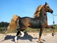 new post on cuteness overload cute animals cuteness overload kittens and puppies