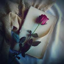 Abandonaunlibroregalaunmundo Flower Wallpaper Book Flowers Beautiful Roses