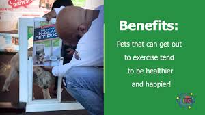 The benefits of pet doors are almost endless! In Glass Pet Doors California Energy Contractors