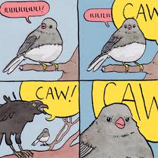 This Comic Artist Is Staging Animals In Twisted Situations And It S Hilarious Funny Animal Comics Top Memes Funny