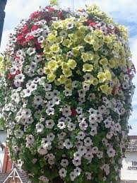 Things to do near cherry hill farmhouse. Photo Album Cherry Hill Greenhouse