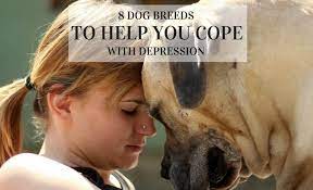 100 days of speaking truth into the darkness ellie holcomb. 8 Best Dogs For Depression Canines To Help Cope When You Re Down