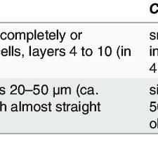 Image result for Lophiocarpus