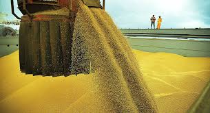 Soja: EUA supera vendas acumuladas na safra 2018/19