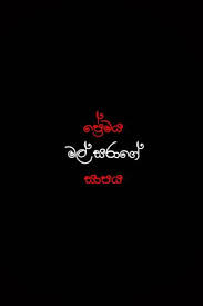 Check spelling or type a new query. Premaya Wallpaper Download To Your Mobile From Phoneky