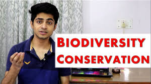 Biodiversity In Hindi Concept Conservation Of Biodiversity Environmental Sci Bba Mba Btech Youtube
