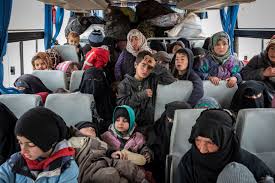 As an individual photographer, this requires your personal data as well as evidence of your. World Press Photo Contest 2020 Photographie
