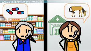 The staff if very caring and helpful. The Pharmacy In A Veterinary Clinic Video Lesson Transcript Study Com