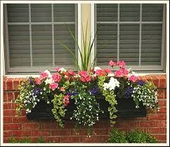 The success of this window box has little to do with the flowers. Pin By Cheryl Burroughs Zueger On Love In A Pot Or Urn Or Planter Or Window Box And So On Window Box Flowers Window Box Plants Window Box