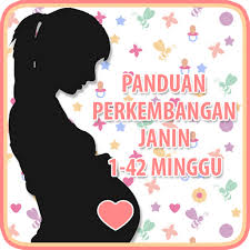 Undangan 7 bulanan undangan gulung bambu. Panduan Perkembangan Janin 1 42 Minggu Apps Bei Google Play