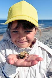 PICTURES: Chernobyl children visit Moray