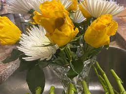 Hours may change under current circumstances Travis Wholesale Florists San Antonio 1 210 732 8261