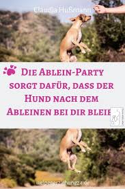 Wenn Dein Hund Weiss Dass Nach Dem Ableinen Der Beste Ort Der Welt Bei Dir Ist Wo Wird Er Dann Wohl Sein Genau Bei Dir Welpenerziehung Welpen Hundeerziehung