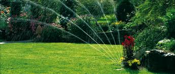 In order to conserve water and give grass just what it needs. How To Water Your Lawn Top Tips Flymo