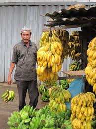 Banana Stand In Sulawesi Wonders Of The World Farmers Market Display Indonesia