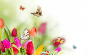 Check spelling or type a new query. Spring Flowers And Butterflies Background Hd Monika Foltman