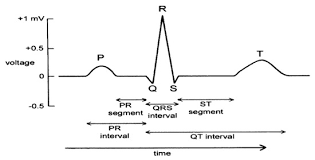 Image result for Electrocardiogram Validity