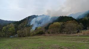 【速報】大槌町で火災 住宅含む建物5棟に延焼 住宅近くの山林にも火が燃え広がる 岩手