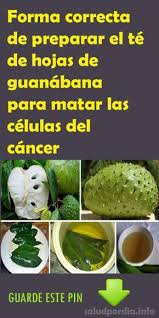 Pin On Te De Guanabana