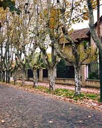 Lomas de zamora está ubicado al sur de la región metropolitana de buenos aires. Fuenteovejuna Vecinos De Lomas De Zamora No Twitter Paisajes Otonales Que Nos Regala Nuestra Ciudad Otono Paisajes Arboladourbano Arboladopublico Adoquinado Barrios Lomasdezamora Argentina Lomas De Zamora Buenos Aires Https T Co