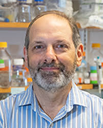 Associated Faculty Listing Biochemistry and Molecular Biotechnology (BMB)  Department