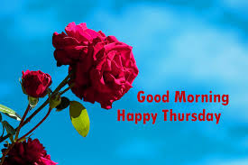 Happy thursday images morning wish good morning wallpaper good morning wishes telugu happy image. Good Morning Thursday Images Wallpaper Photo Pictures 960x640 Download Hd Wallpaper Wallpapertip
