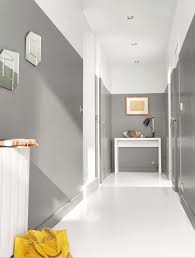 Redonnez Du Style A Votre Entree Avec La Peinture Colours Gris Urbain Pour Une Deco Sobre Et Chic Tou Idee Deco Couloir Idee Deco Peinture Idee Deco Bricolage
