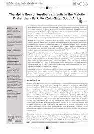 Image result for Styppeiochloa gynoglossa