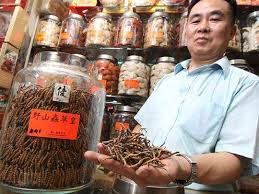 Keeda jadi (yarsagumba,caterpillar fungus) health benefitsकीड़ा जड़ी के फायदे और पहचान #keedajadi. Keeda Jadi Farming In India Keeda Jadi Cordyceps Known As Himalayan Viagra Is Very Useful In Various Diseases Navbharat Times Photogallery