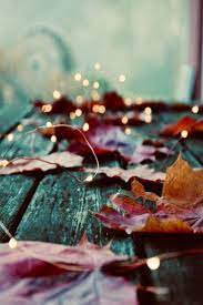 Pin By Gail Steven On Color Themes Fall Wallpaper Fall Wallpaper Tumblr Fall Backgrounds Iphone