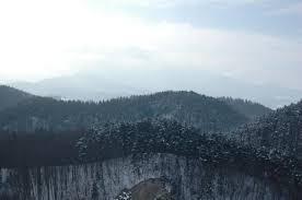 Для просмотра онлайн кликните на видео ⤵. Poze Din Romania Aradoi