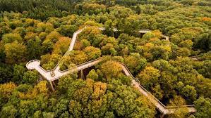 11 Baumwipfelpfade in Deutschland - plus Stellplatz | promobil