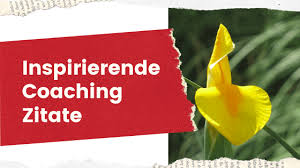 24 Inspirierende Coaching Psychologie Zitate Positive Veranderung Bilder Zum Teilen