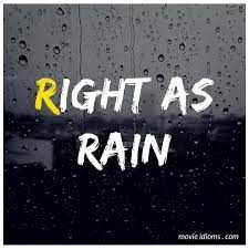 Right As Rain Idiom Rain Quotes Idioms Old Quotes