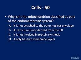 Welcome To Jeopardy Jeopardy Rules Final Jeopardy Biochem Cells Ppt Download