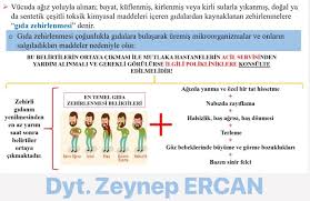 Zeynep Ercan Posts Facebook