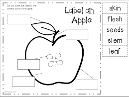 Apple Labeling Apple Preschool Apple Kindergarten Preschool Labels