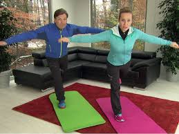 Discrete element method for engineering: Balance Und Kraftigung Orf Salzburg Fernsehen