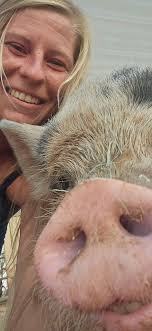 Kunekune female pig wanted in San Tan area