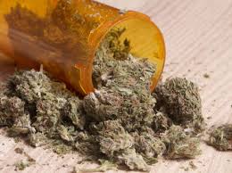 It's a mixture of the dried, shredded leaves, seeds, flowers, and stems of this plant. Basic Cannabis Questions Marijuana Facts Thrillist