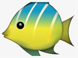 Hd wallpapers and background images. Tropical Fish Emoji Hd Png Download Kindpng