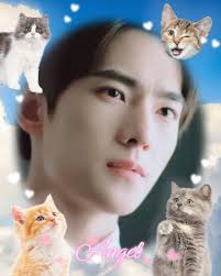 Can anyone help translate this family writing?