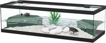 Turtle Tank Set Up And Maintenance The Aquarium Guide