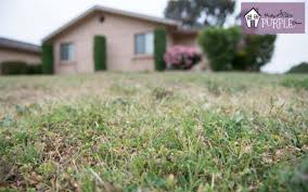 Working on certain passions takes a huge toll on your body and that might be why you're feeling overwhelmed. Landscaping From Scratch 7 Steps To Designing A Garden Plan Pretty Purple Door