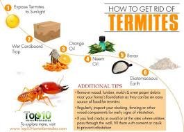 How To Get Rid Of Termites Top 10 Home Remedies Termites Termites Diy Termite Treatment