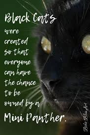 Black Cats Praising The Mini Panther Boom2bloom Com Black Cat Quotes Pet Quotes Cat Cat Quotes