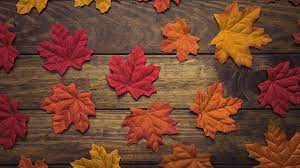 Maybe you would like to learn more about one of these? Hd Wallpaper Autumn Leaves Background Tree Wood Maple Wallpaper Flare