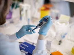 Around 120 vaccines are in the works across the world, of which. Coronavirus Vaccine Latest Update Targets For Coronavirus Vaccine Identified By Scientists